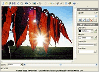 Online Image Editor - Edit images online